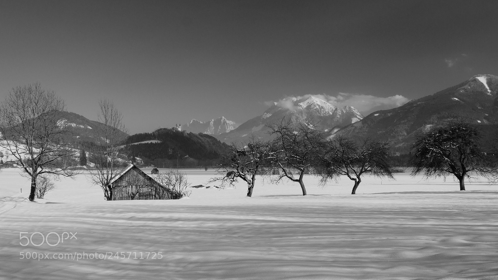 Olympus OM-D E-M1 Mark II sample photo. Enns valley bottom photography