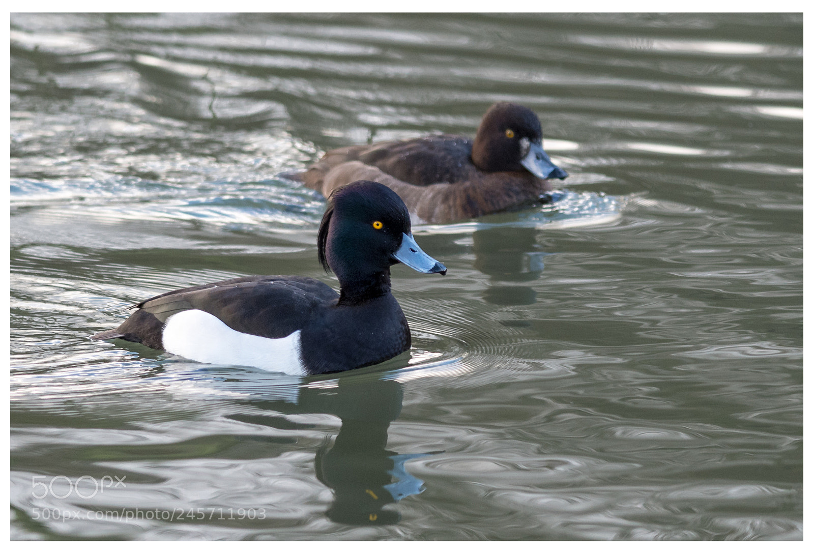 Nikon D500 sample photo. Focus on me not photography