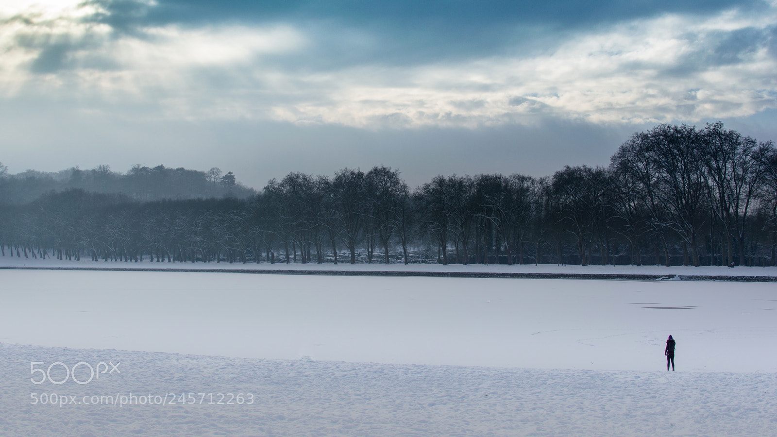 Nikon D3200 sample photo. A cold day photography
