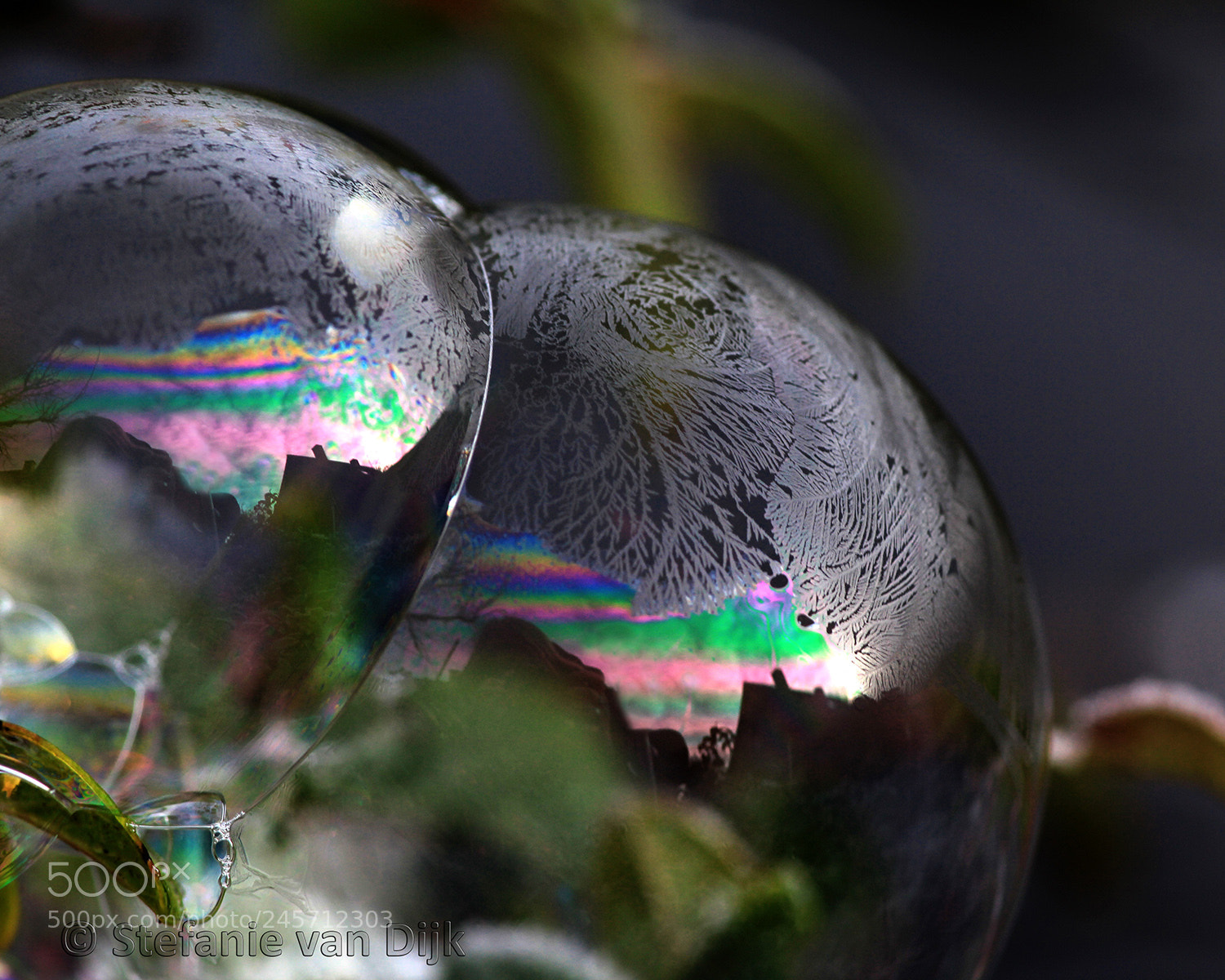 Canon EOS 60D sample photo. Almost frozen photography