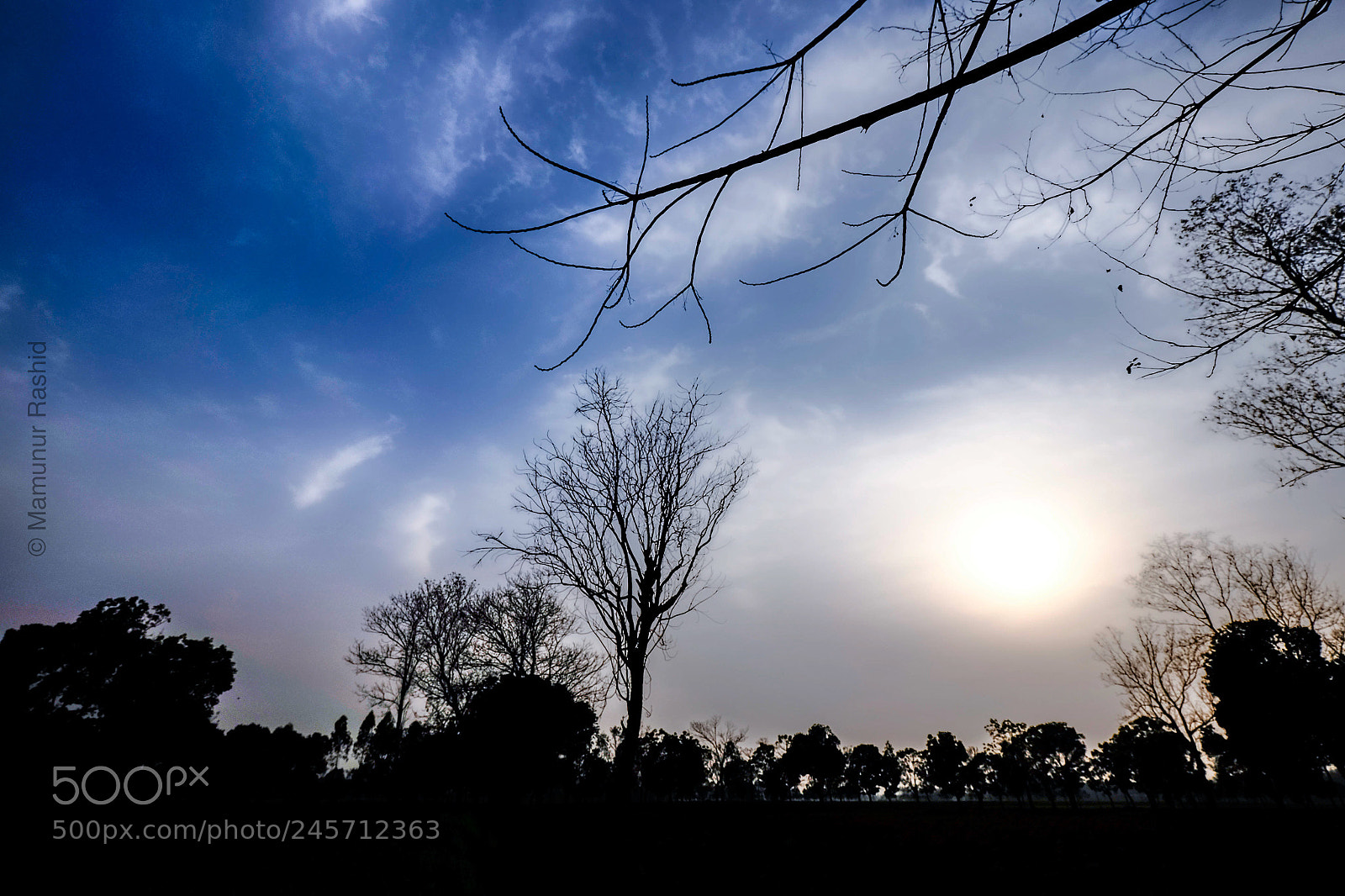 Fujifilm X-T1 sample photo. Untitled photography