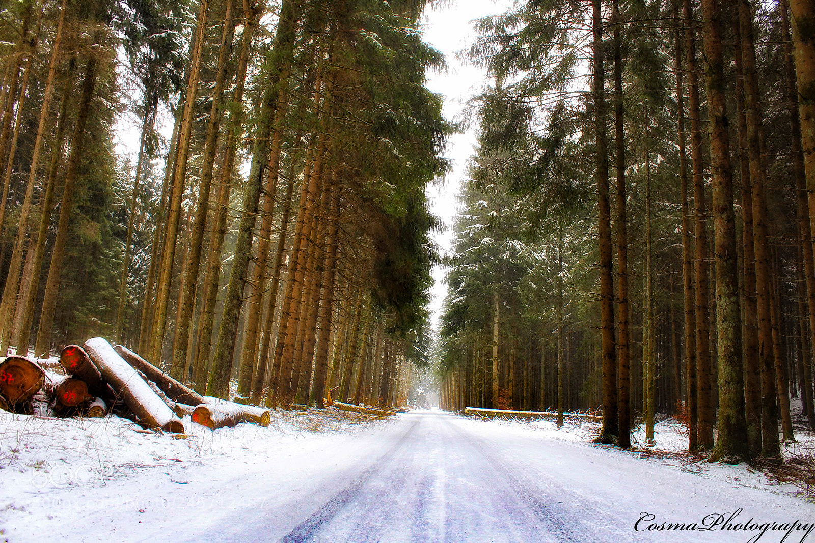 Canon EOS 1300D (EOS Rebel T6 / EOS Kiss X80) sample photo. Germany natur photography