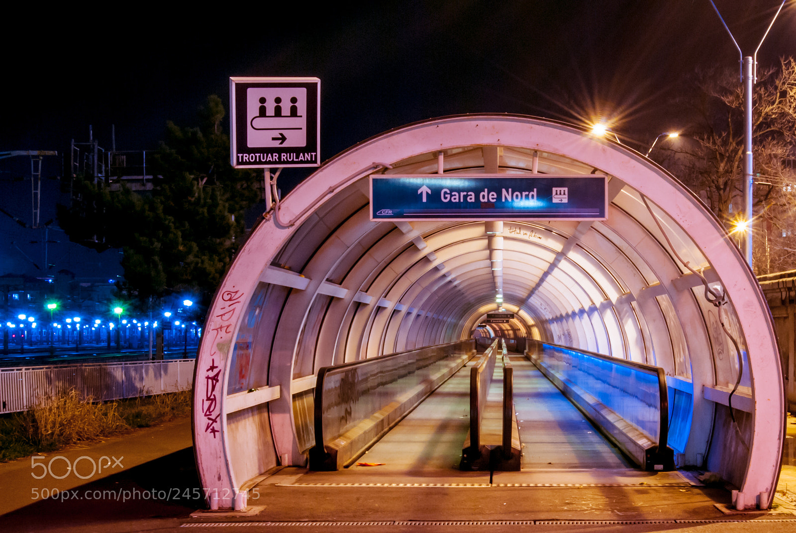 Nikon D80 sample photo. Tube photography