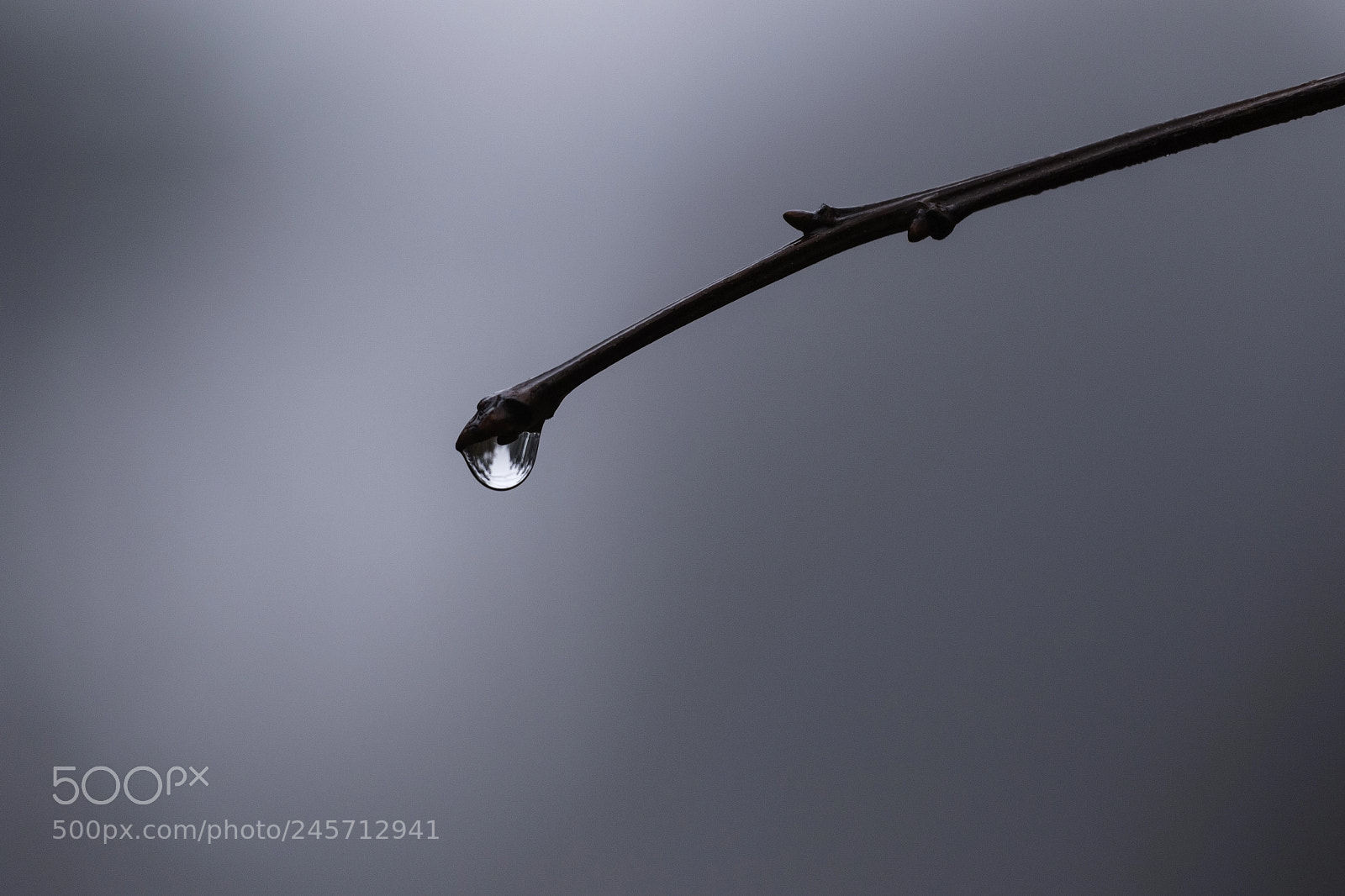Canon EOS 7D Mark II sample photo. Liquid lens photography