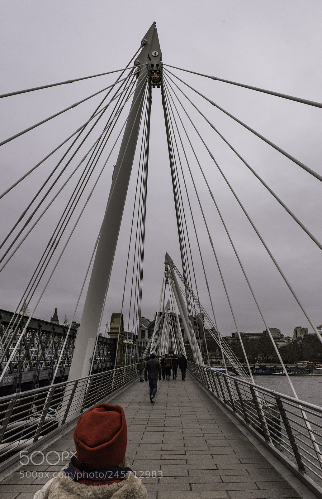 Nikon D810 sample photo. Bridge photography
