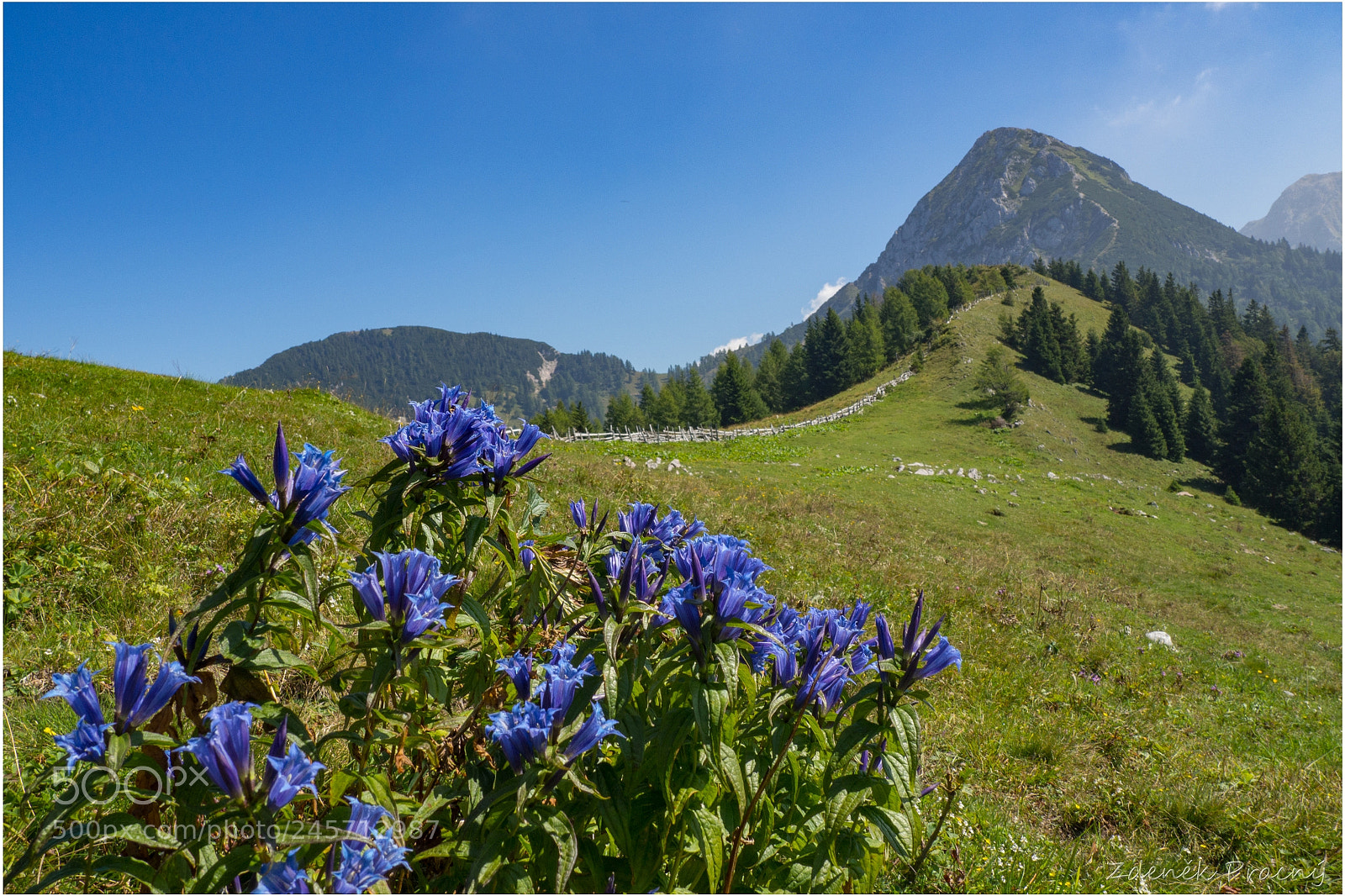 Olympus OM-D E-M10 sample photo. Summer time in karavanky photography