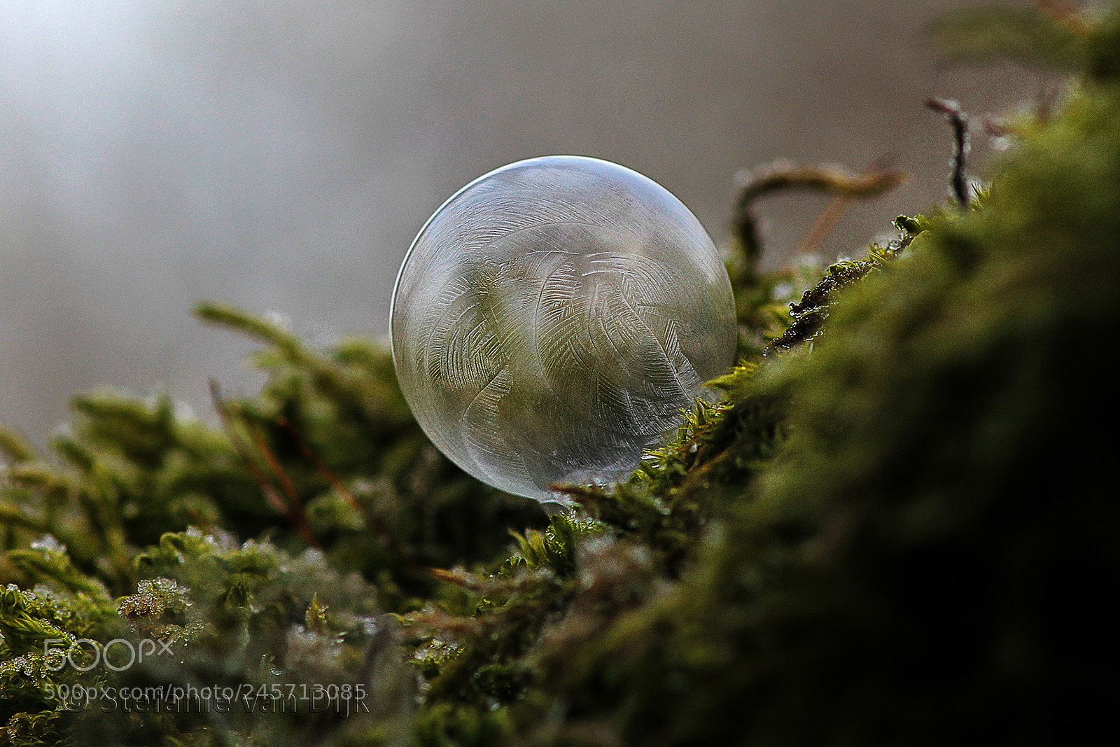 Canon EOS 60D sample photo. Small iceball photography