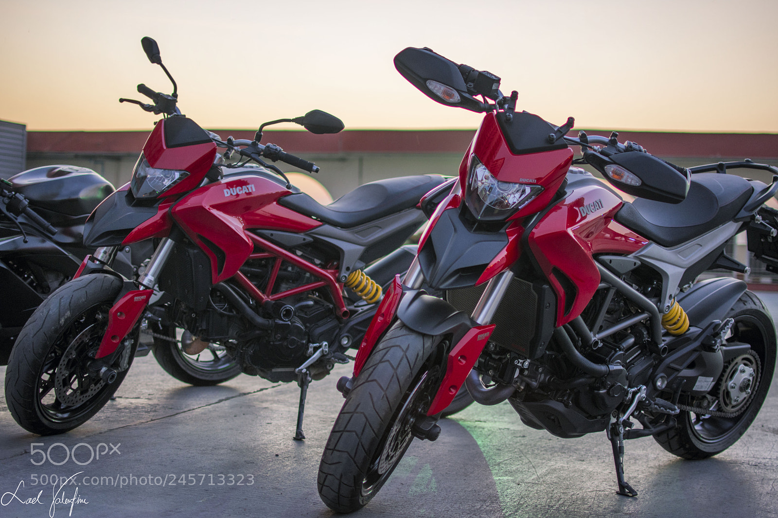 Nikon D7200 sample photo. Too fast too red photography