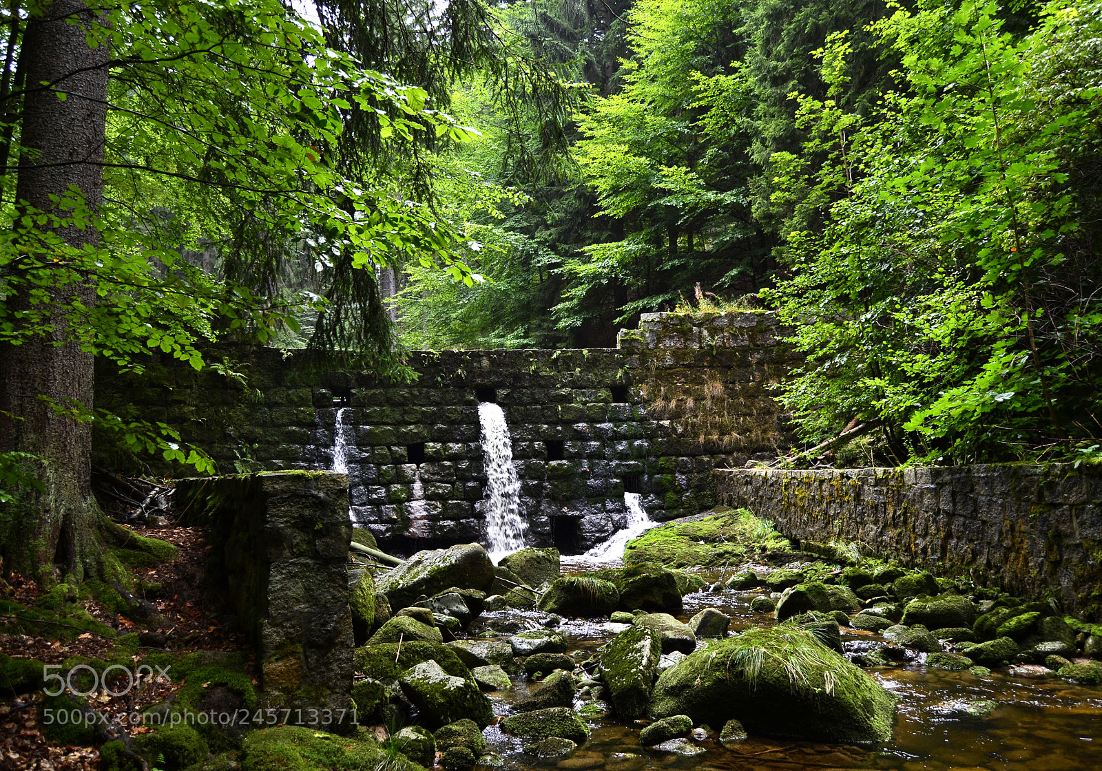 Nikon D3100 sample photo. Eternal waterfall photography