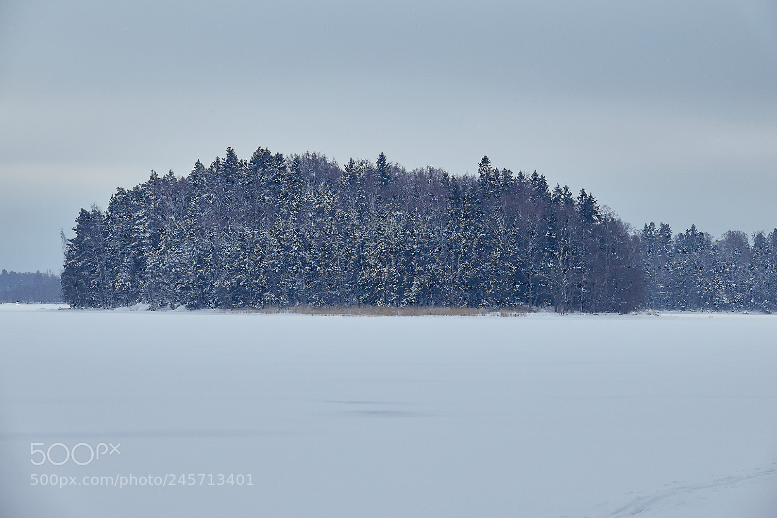 Sony Cyber-shot DSC-RX10 IV sample photo. Winter sea photography