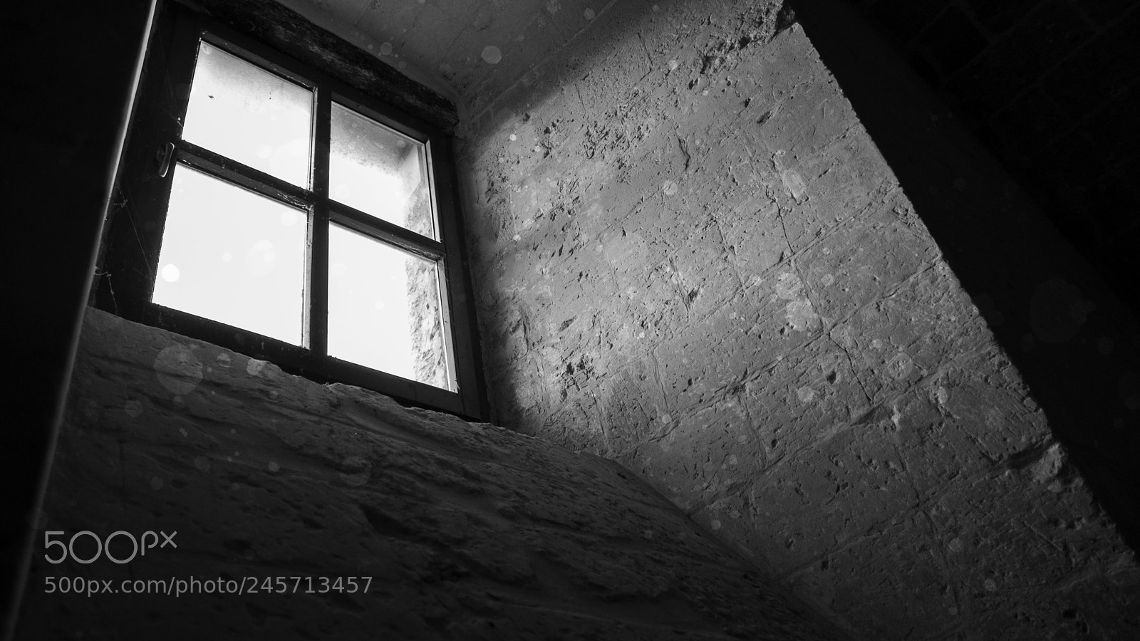 Sony SLT-A77 sample photo. 3.jpg photography