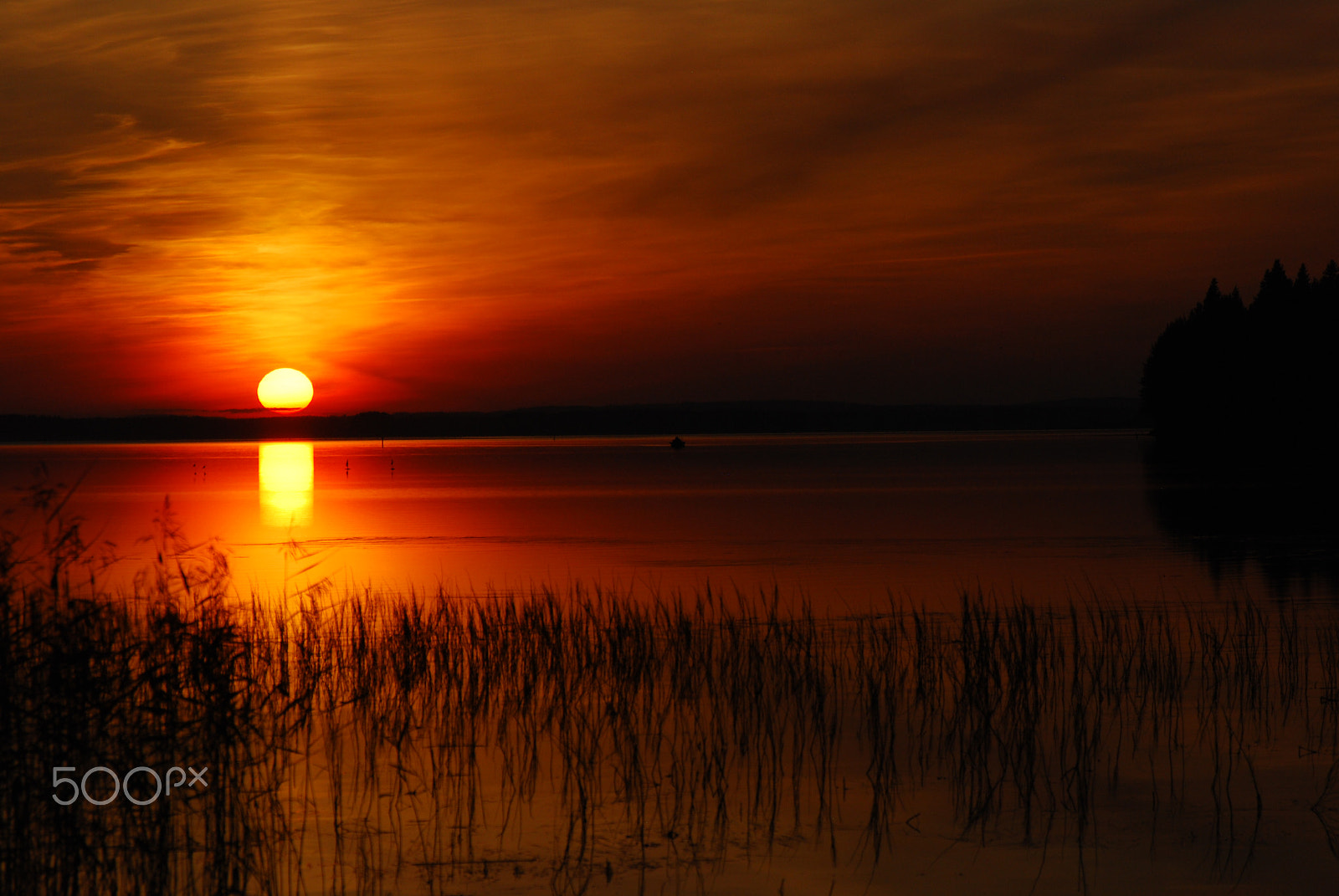 AF Zoom-Nikkor 28-105mm f/3.5-4.5D IF sample photo. Last rays photography