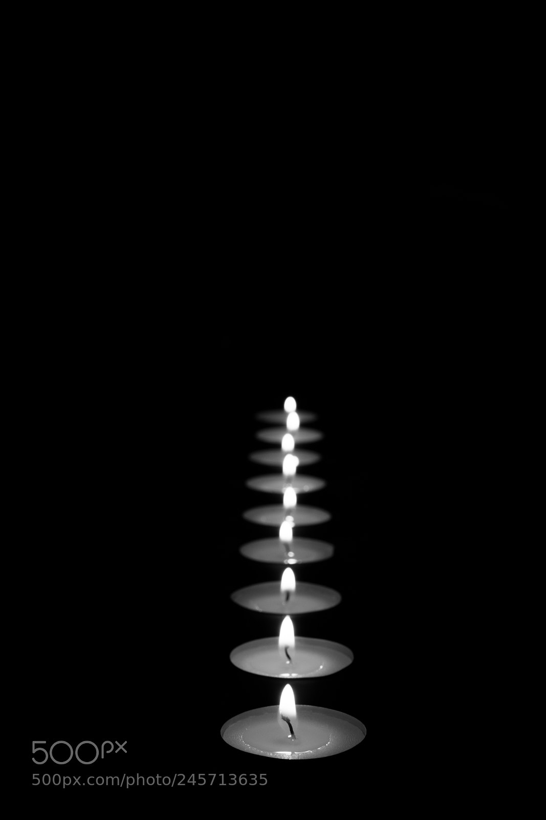 Nikon D850 sample photo. Little light photography