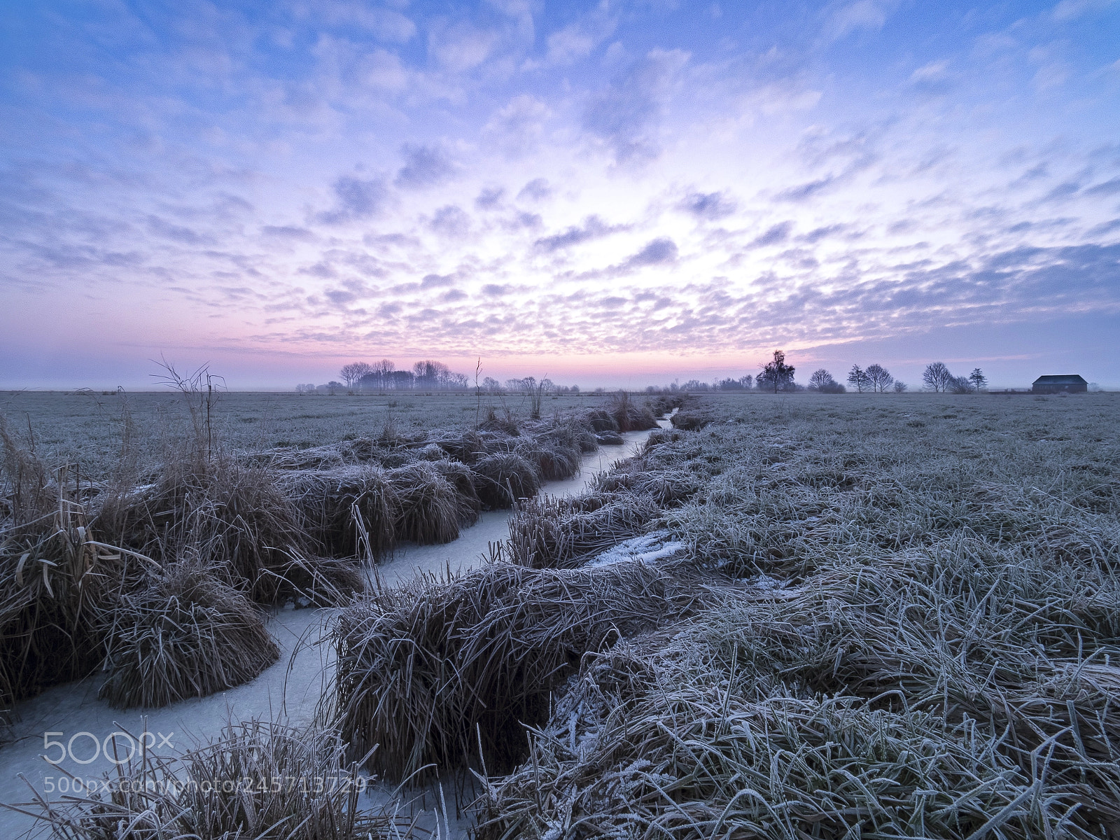 Olympus OM-D E-M1 Mark II sample photo. Frozen morning i photography