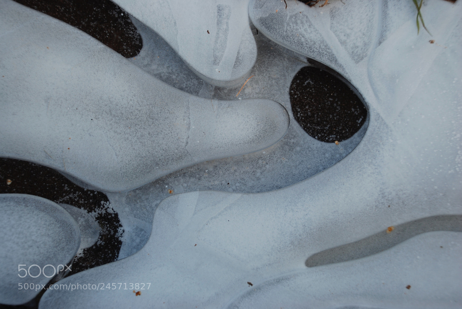 Nikon D80 sample photo. Ice art photography