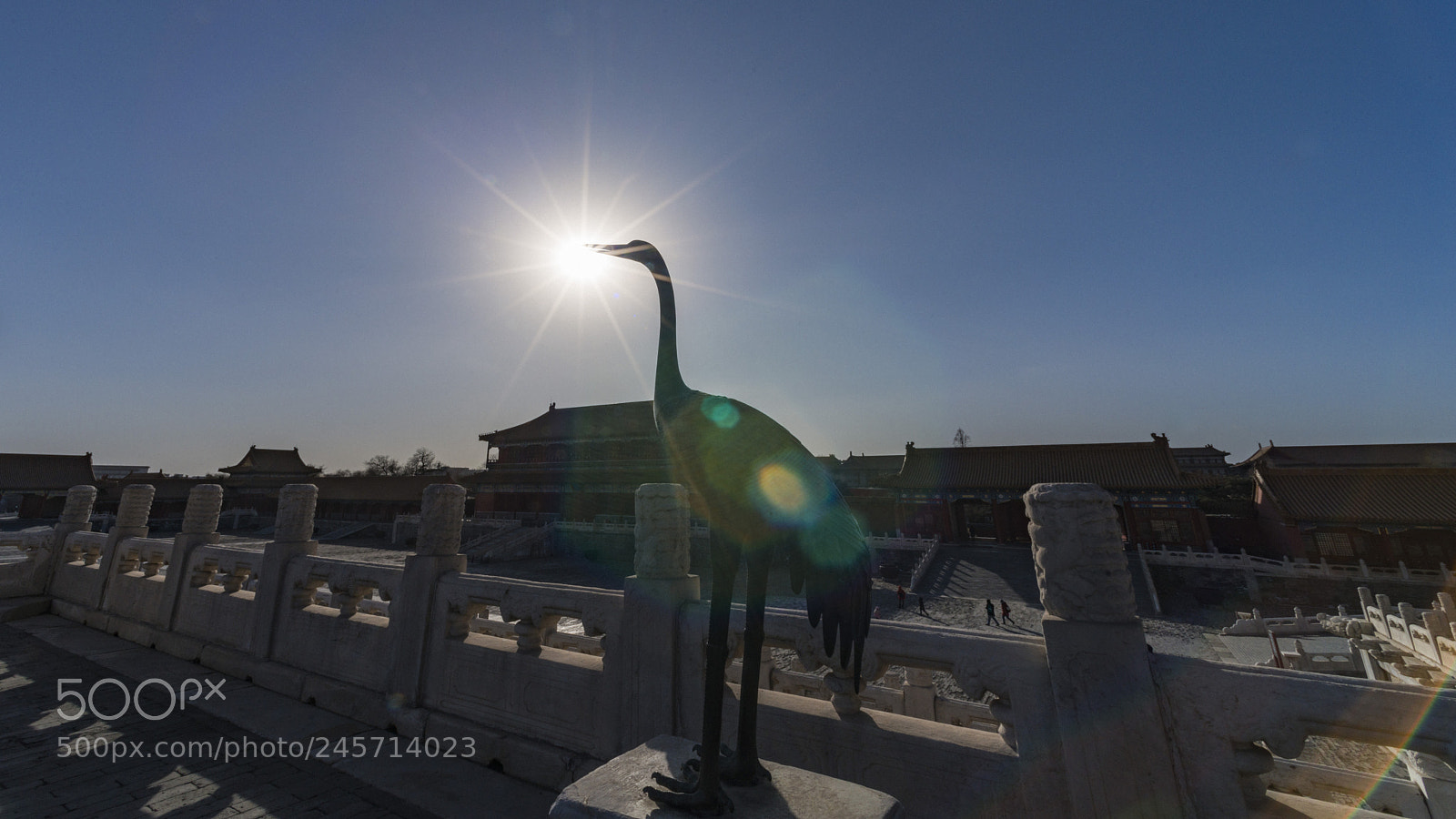 Nikon D800 sample photo. Untitled photography