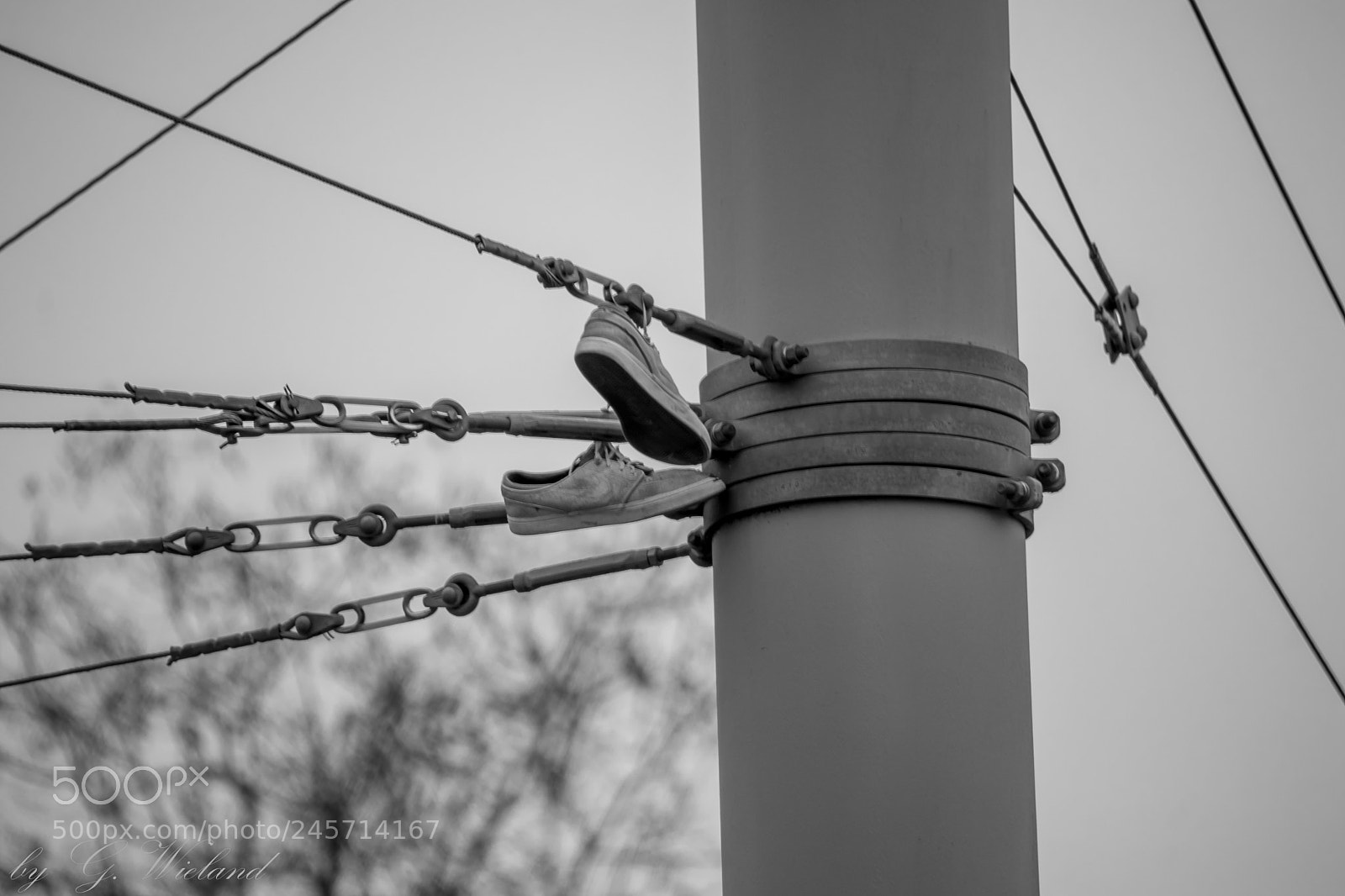 Nikon D5500 sample photo. Lost and found photography