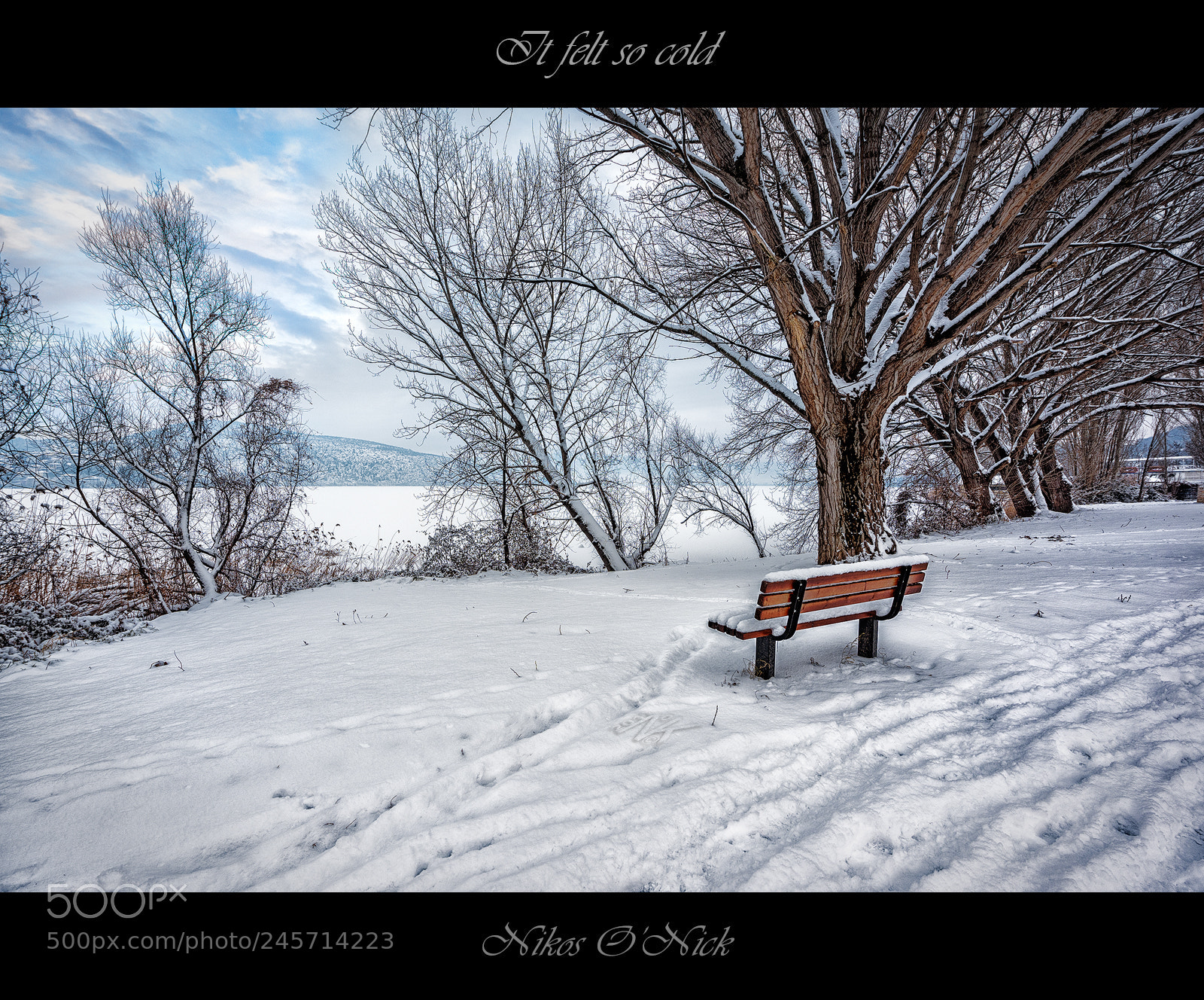 Nikon D810 sample photo. It felt so cold photography