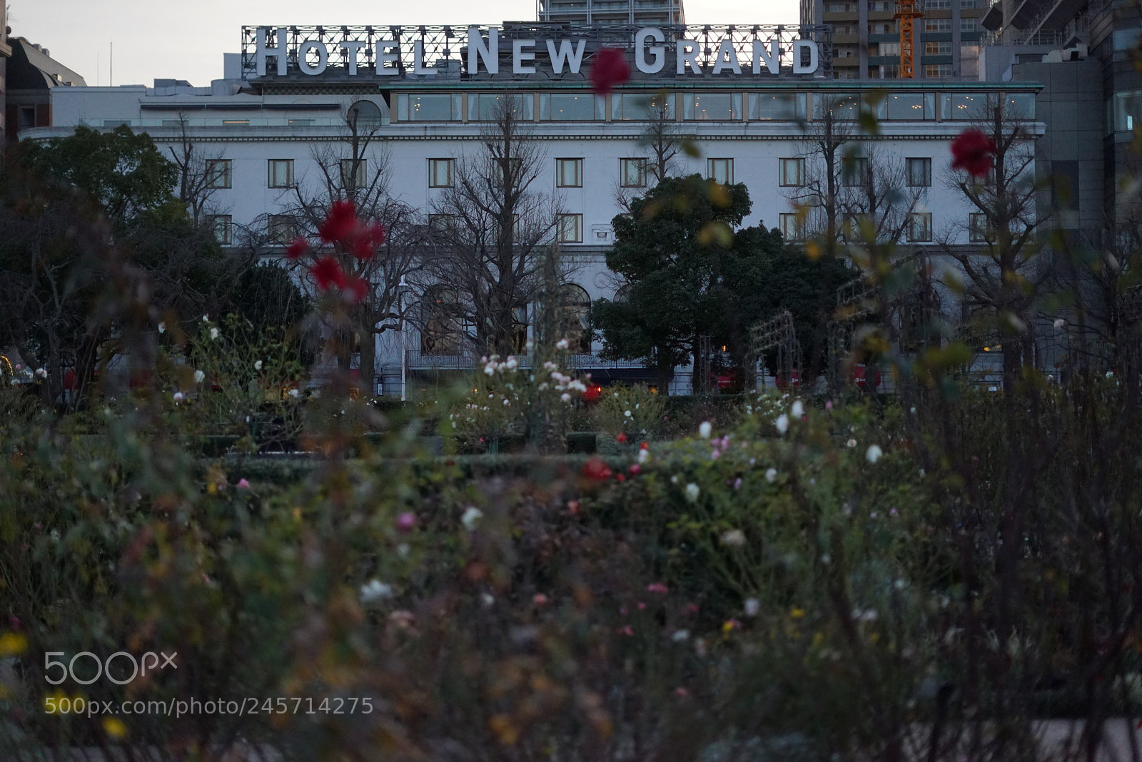 Sony a7R sample photo. Hotel new grand photography