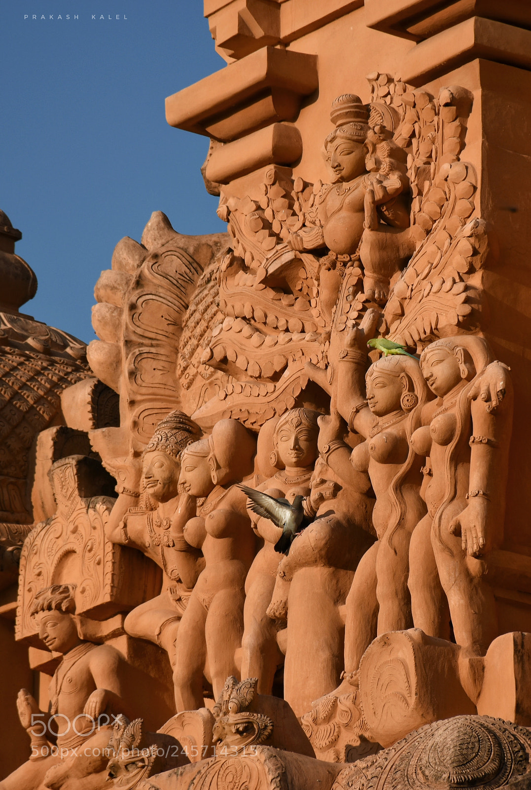 Nikon D5500 sample photo. Krishna and gopis photography