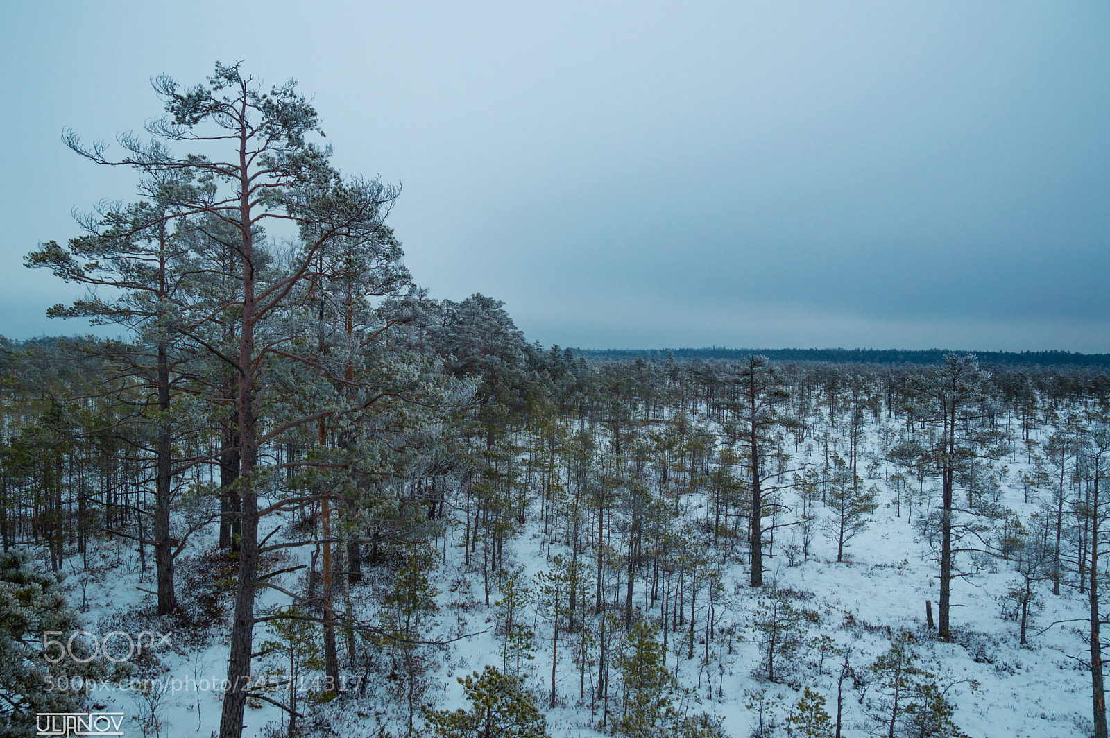 Nikon D3200 sample photo. Freezing photography