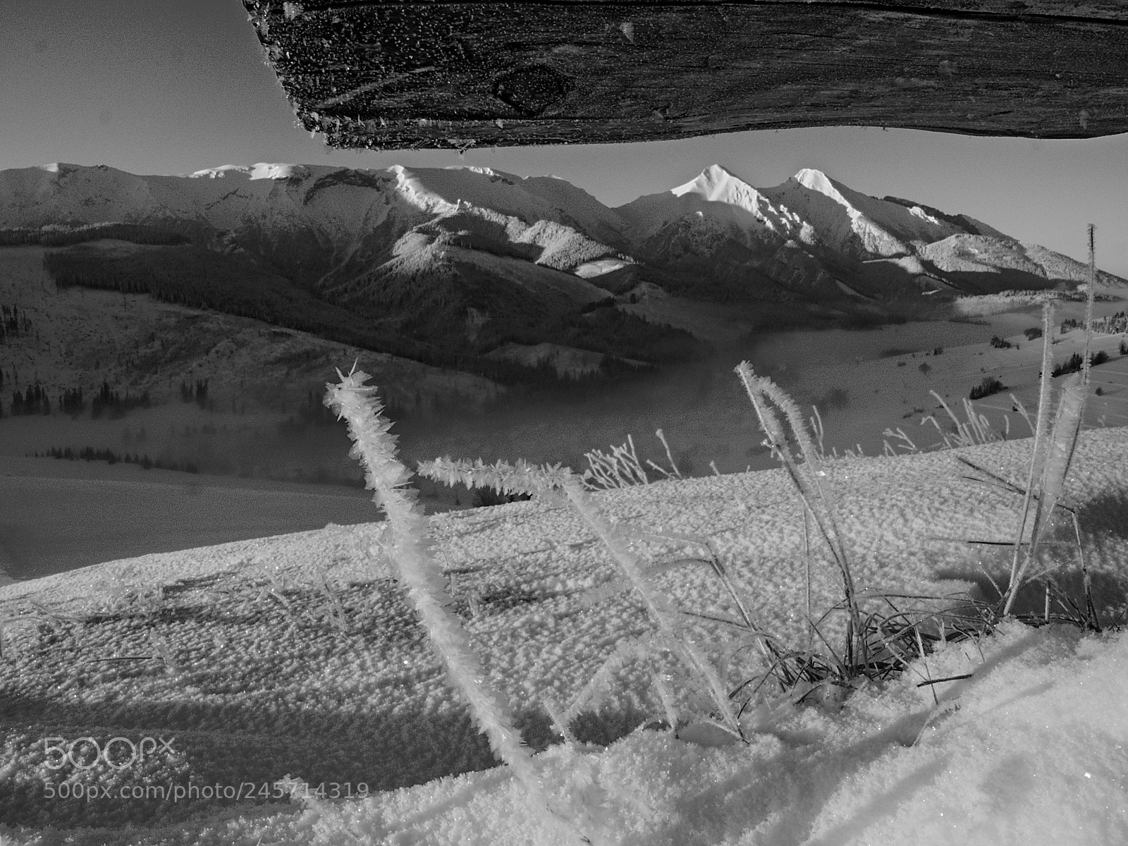 Olympus OM-D E-M5 II sample photo. Freezing morning photography