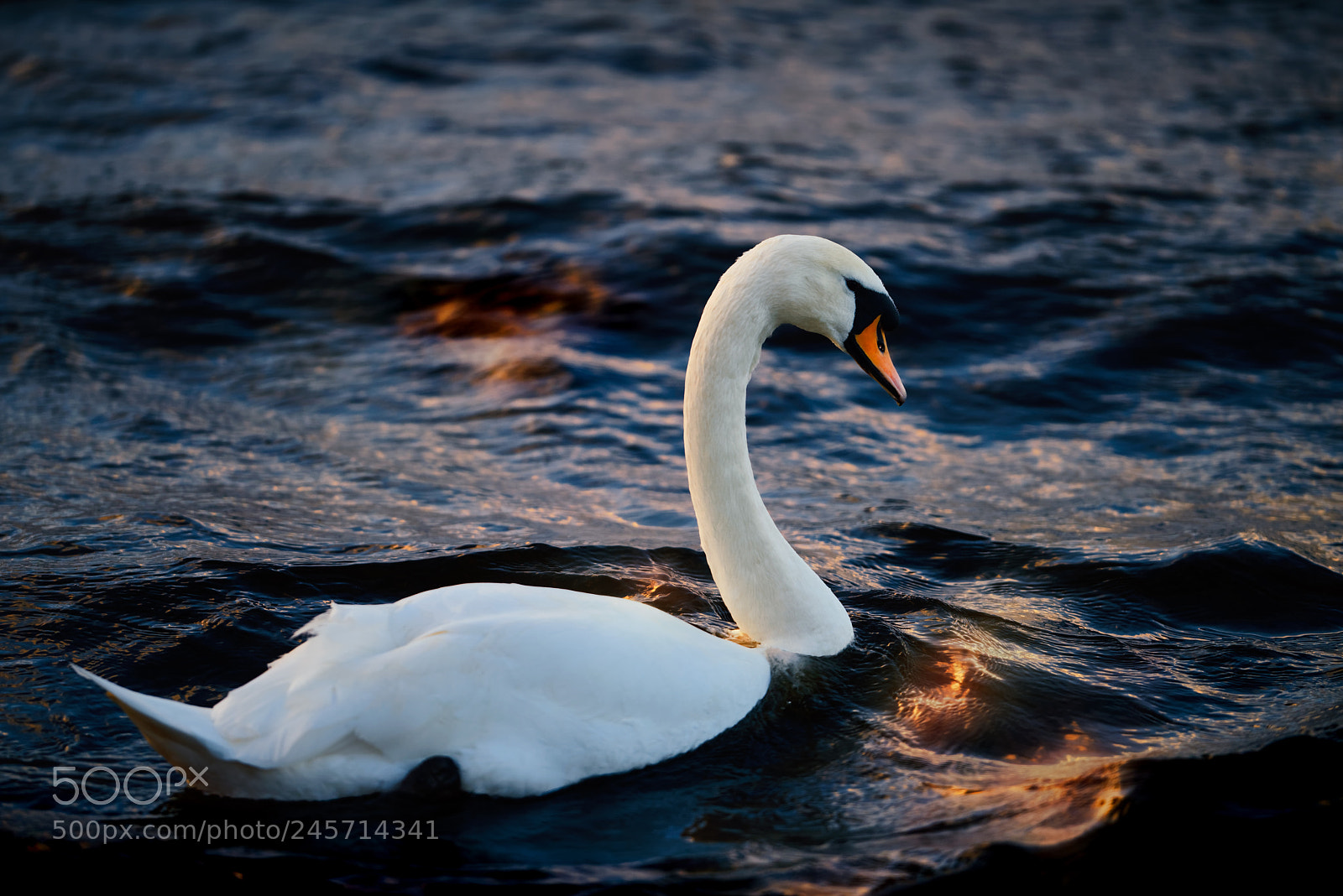 Nikon D810 sample photo. 'styx' photography