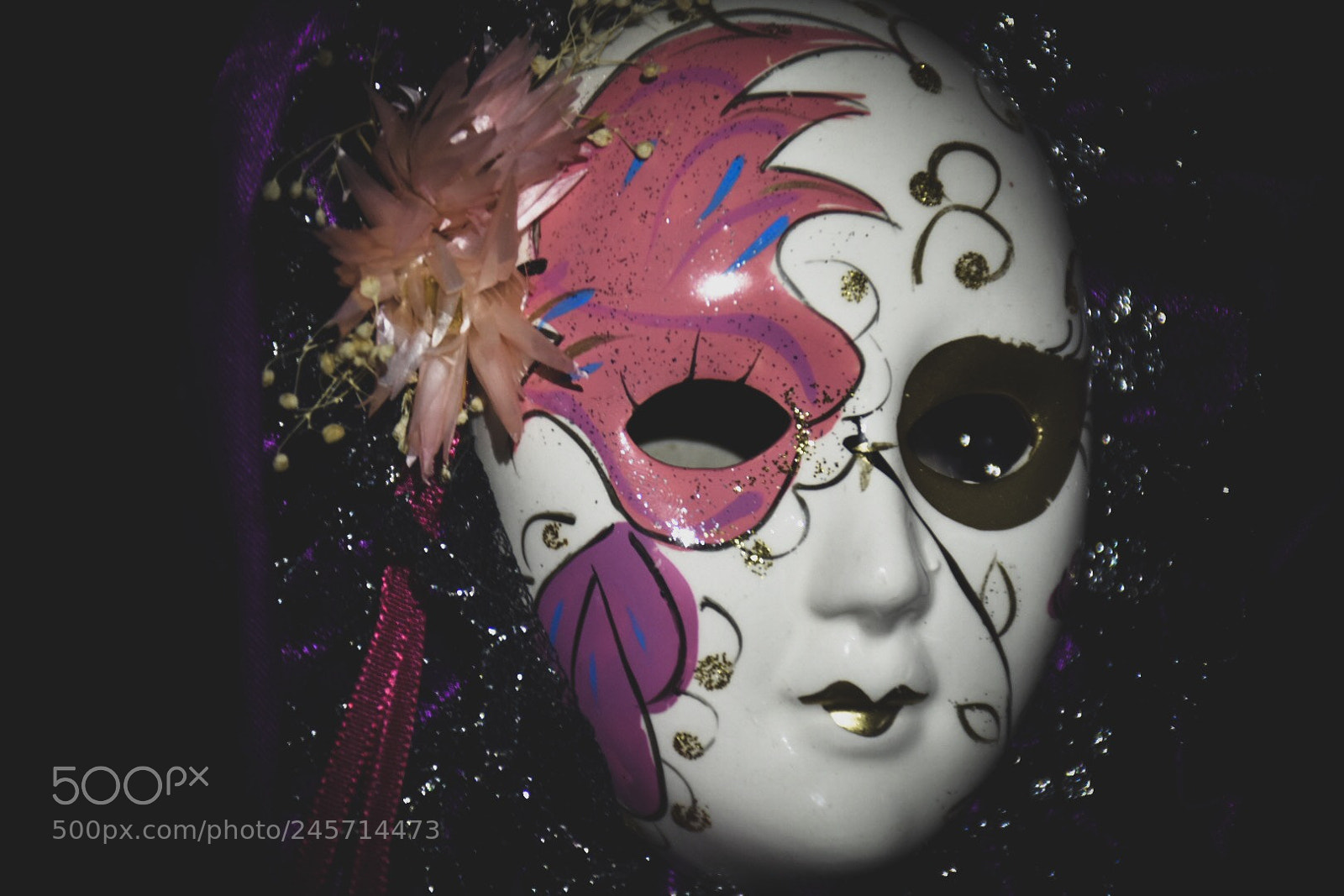 Nikon D7200 sample photo. Untitled photography