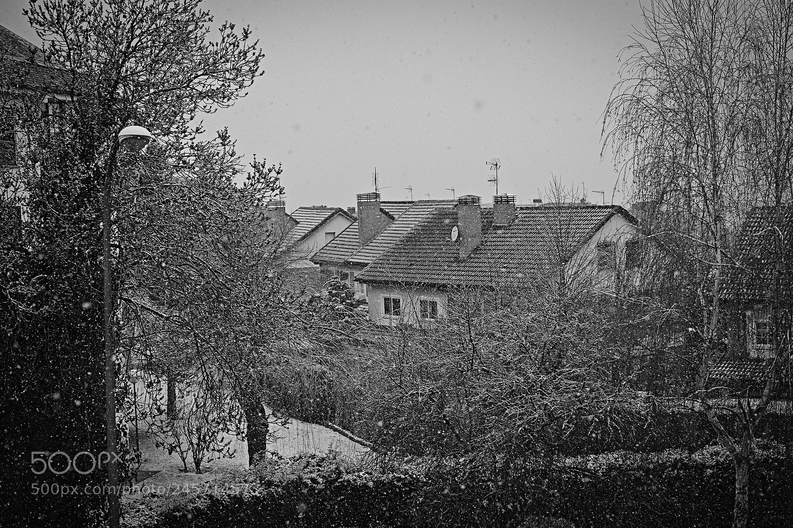 Fujifilm X-Pro1 sample photo. Out of the window photography