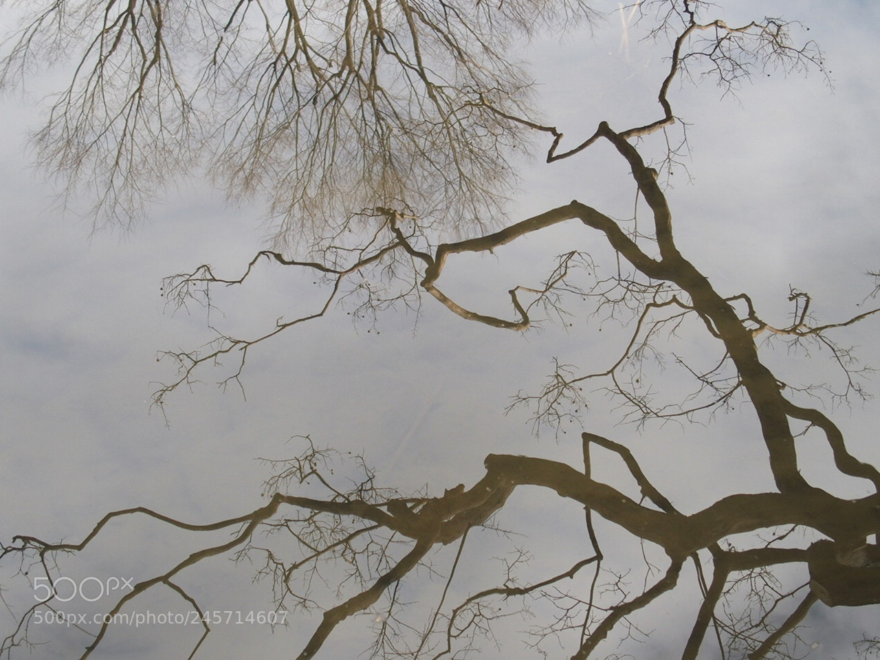 Olympus STYLUS1,1s sample photo. Water reflection photography