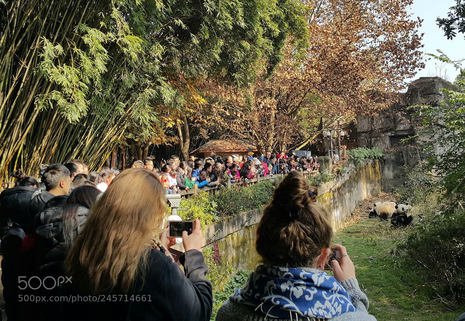 Samsung Galaxy Note4 sample photo. People-71 photography