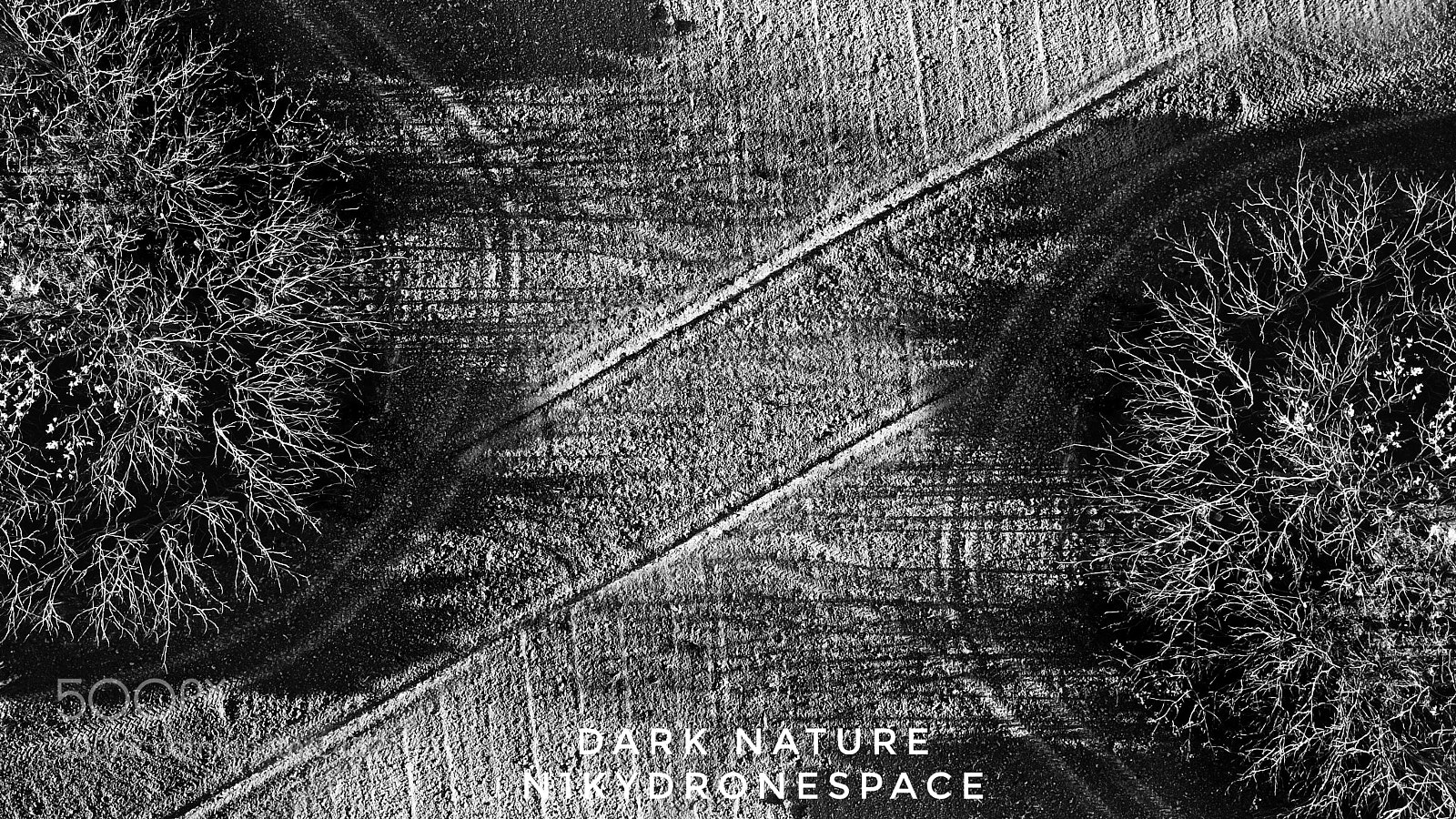 DJI FC220 sample photo. Dark nature photography