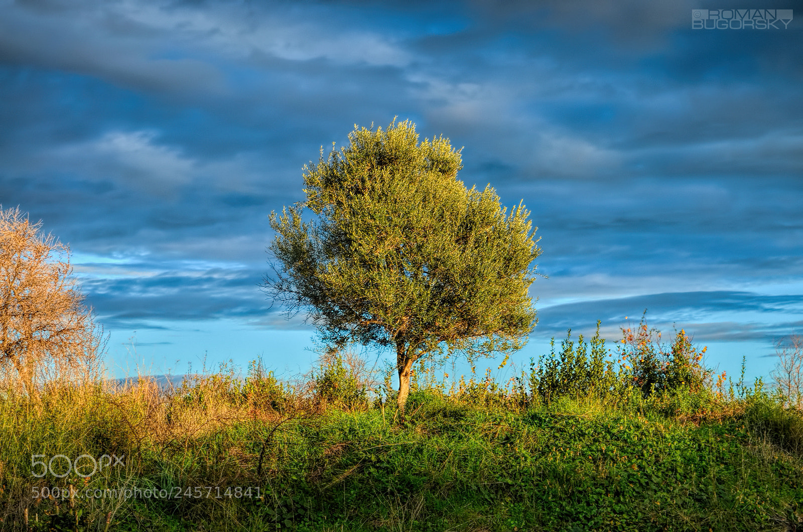 Nikon D5100 sample photo. Sunset / На закате photography