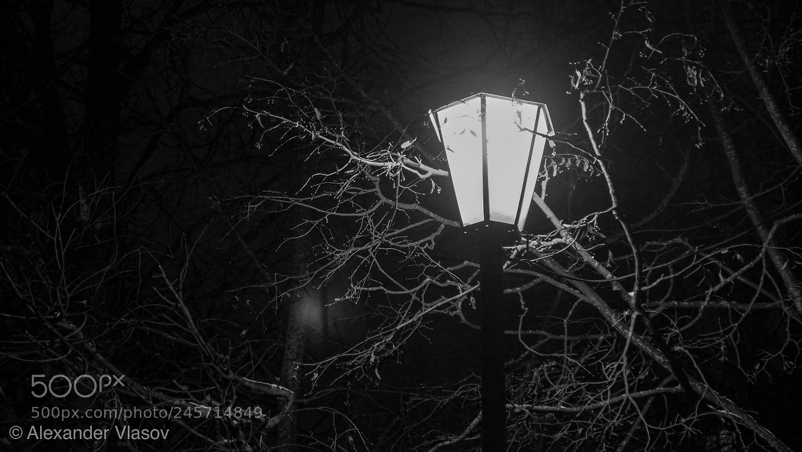 Fujifilm X-T10 sample photo. Night light photography