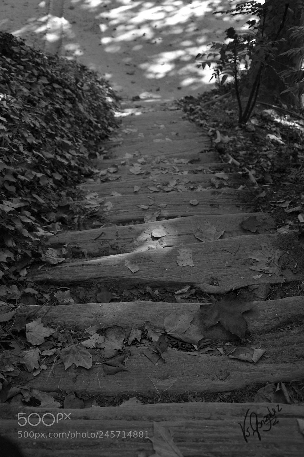 Nikon D3100 sample photo. Santiago photography