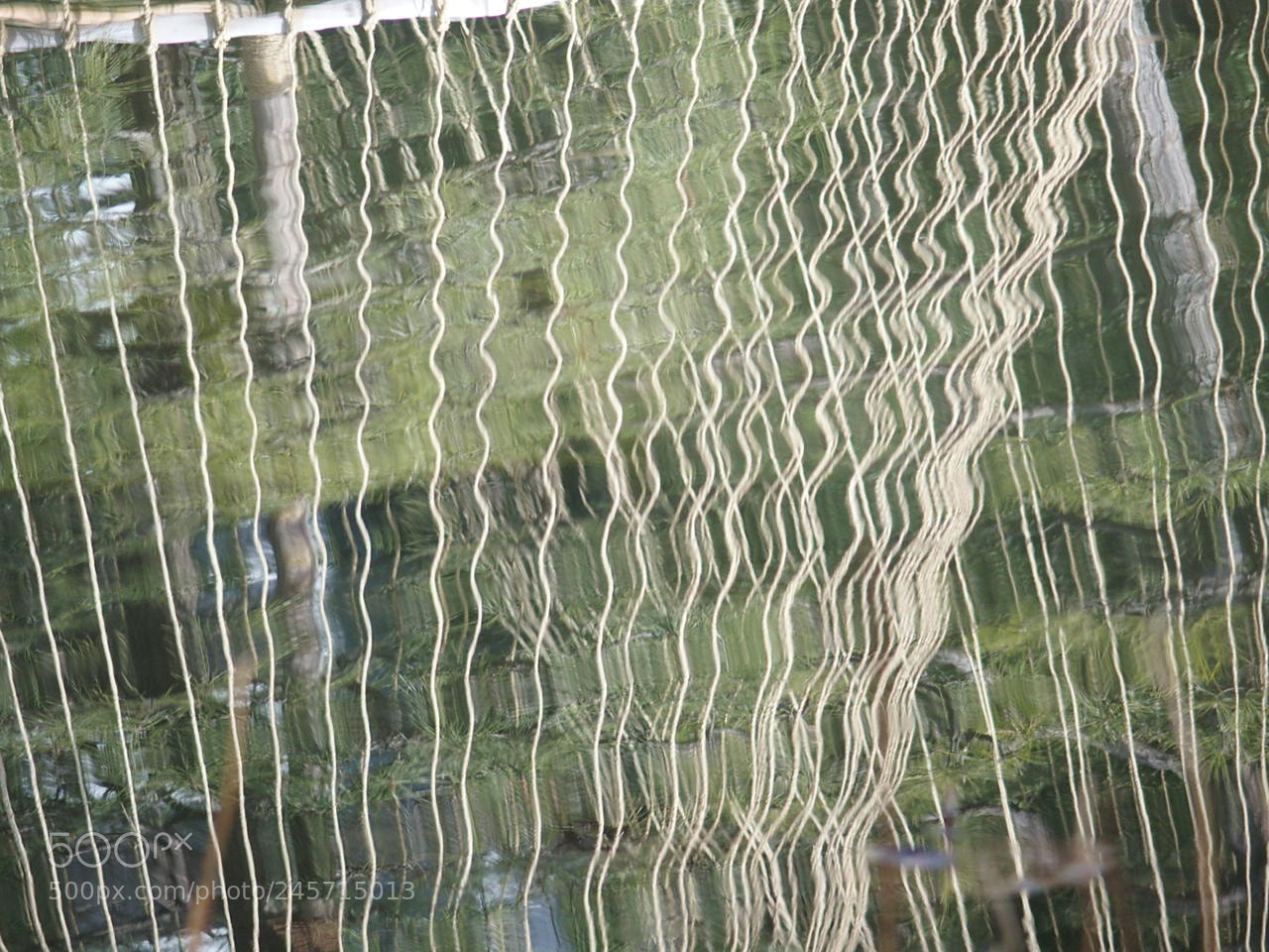Olympus STYLUS1,1s sample photo. Water reflection photography