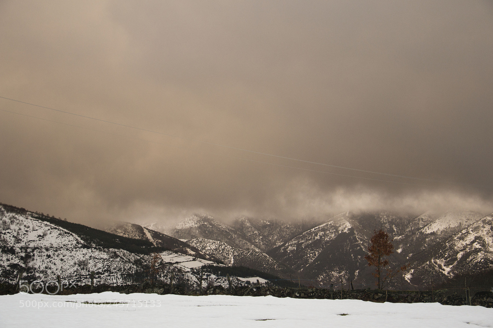 Nikon D3100 sample photo. Untitled photography