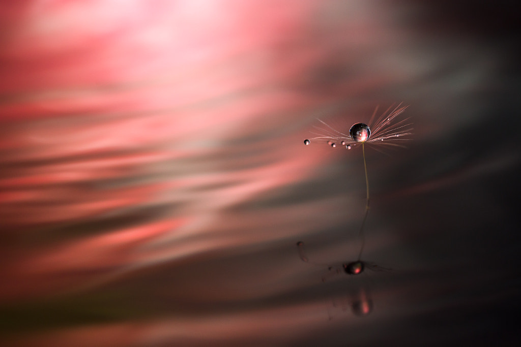 Beyond Time by Miki Asai on 500px.com