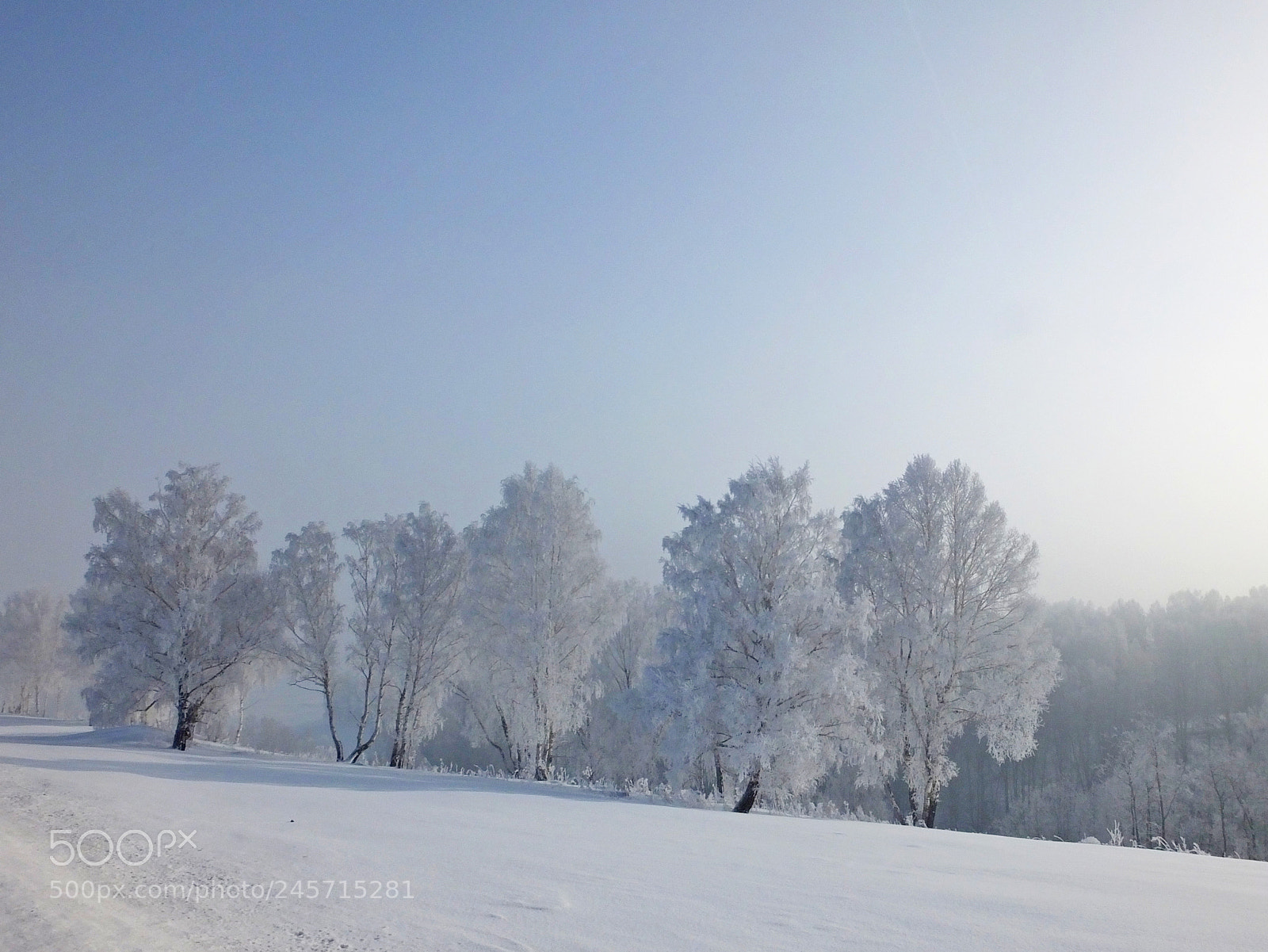 Fujifilm FinePix HS50 EXR sample photo. Winter forest photography
