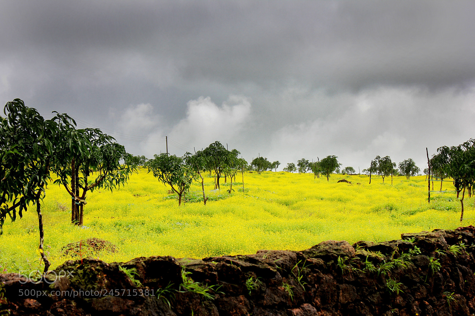 Canon EOS 550D (EOS Rebel T2i / EOS Kiss X4) sample photo. Western ghats photography