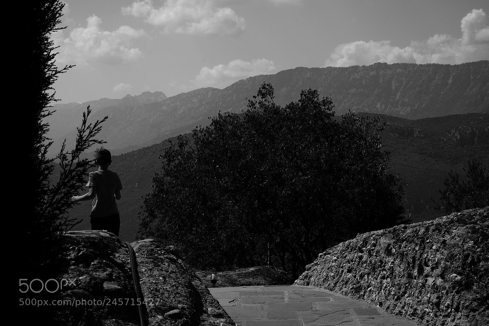 Fujifilm X-E2S sample photo. Fields of joy photography