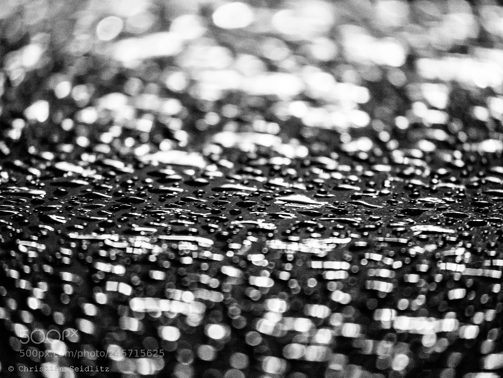 Panasonic DMC-G81 sample photo. Drippy photography