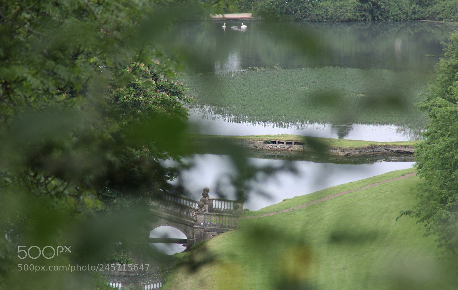 Canon EOS 60D sample photo. Img photography