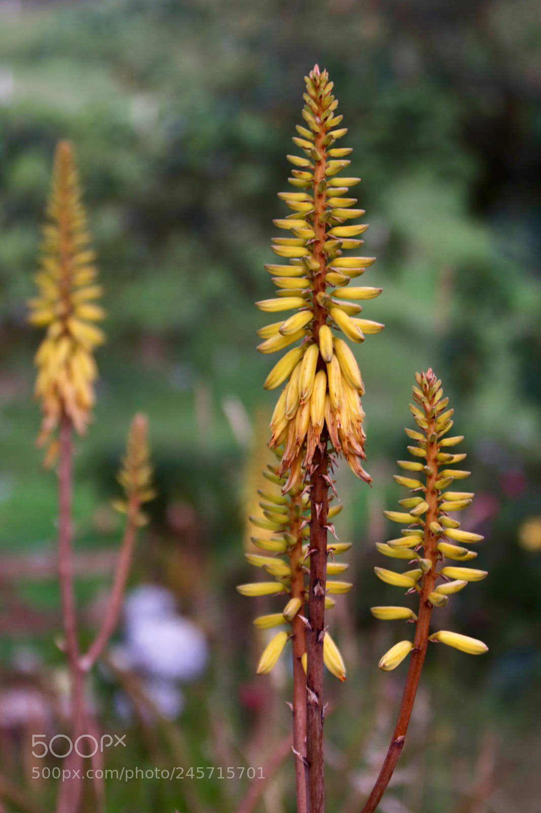 Canon EOS 77D (EOS 9000D / EOS 770D) sample photo. Untitled photography