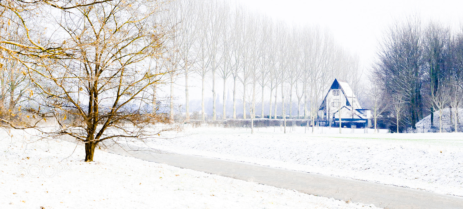 Nikon D610 sample photo. House and trees photography