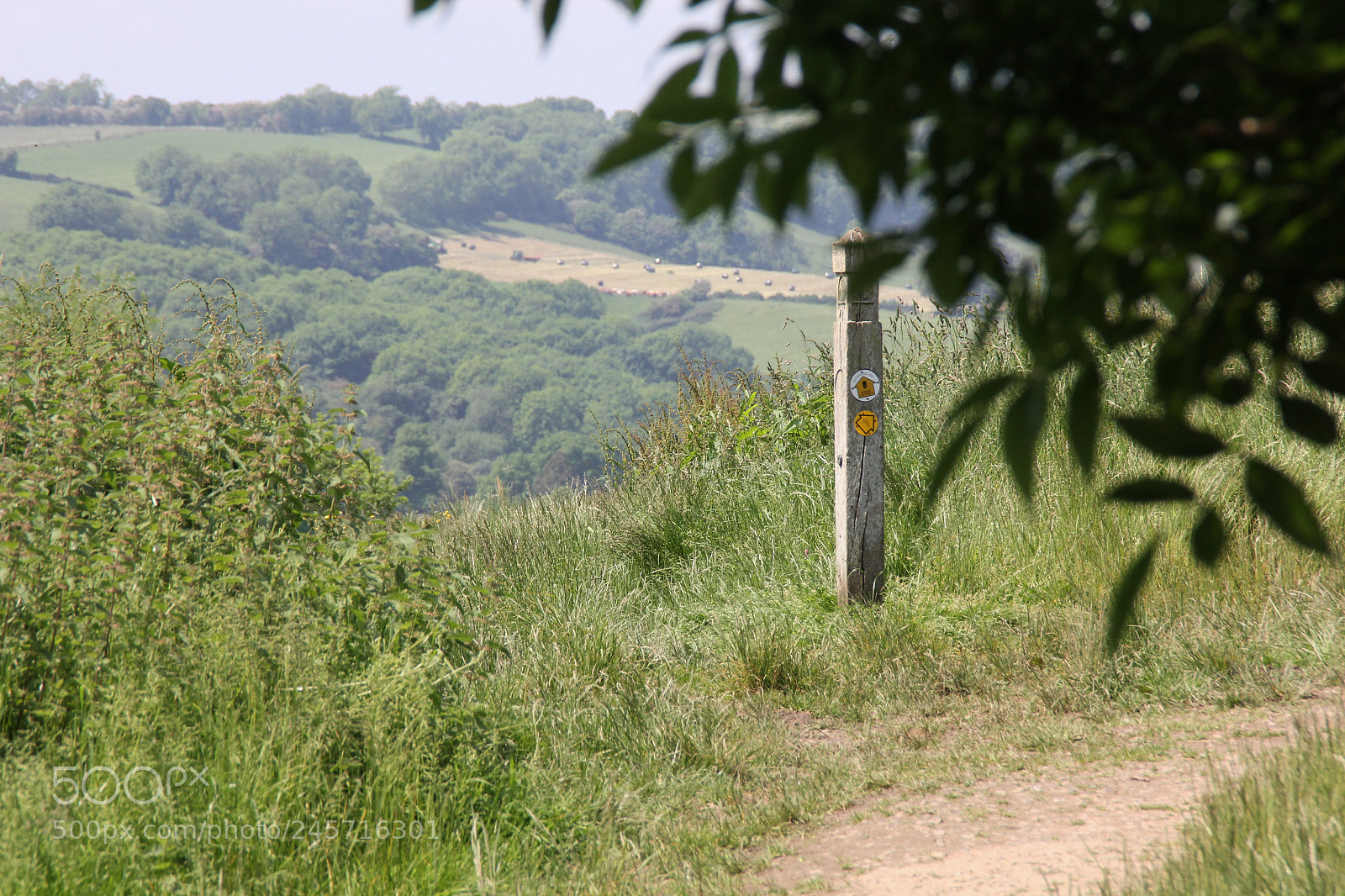 Canon EOS 60D sample photo. Img photography