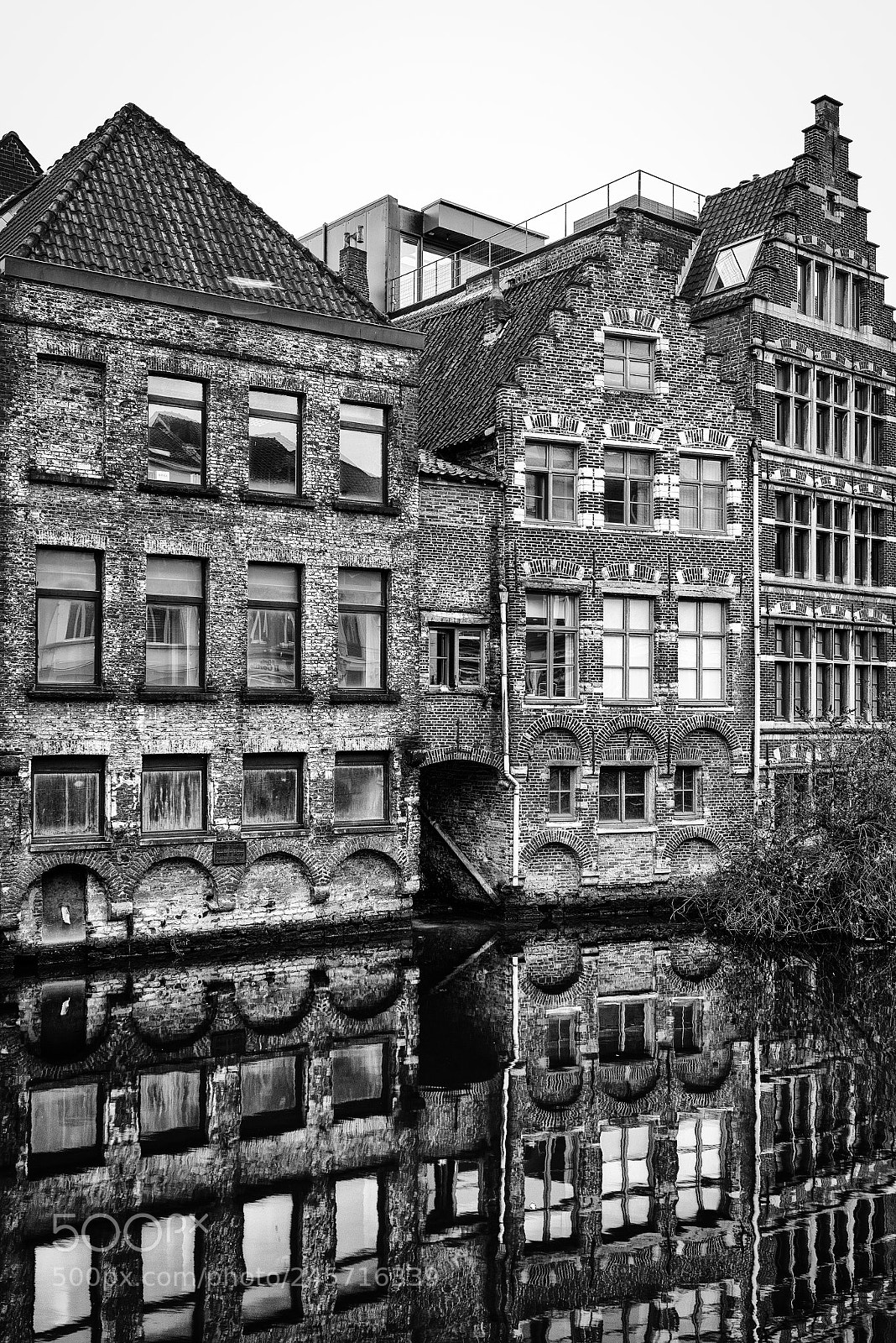Nikon D810 sample photo. Gent -1- photography