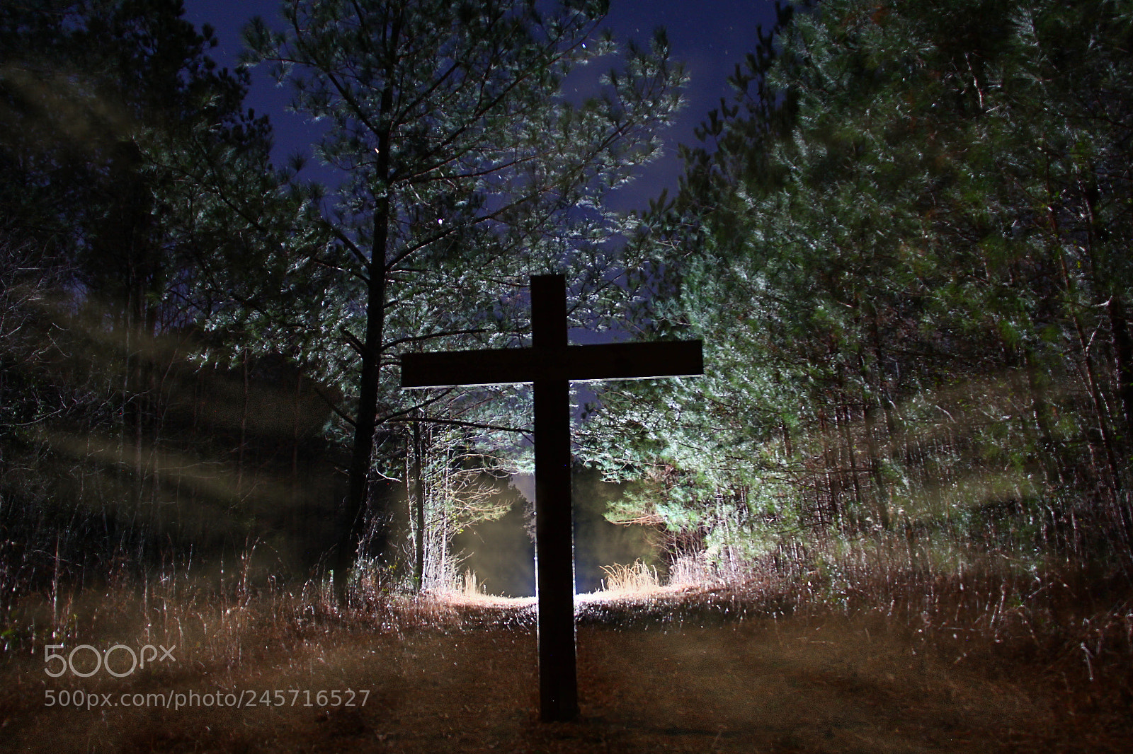 Canon EOS 60D sample photo. Night cross photography