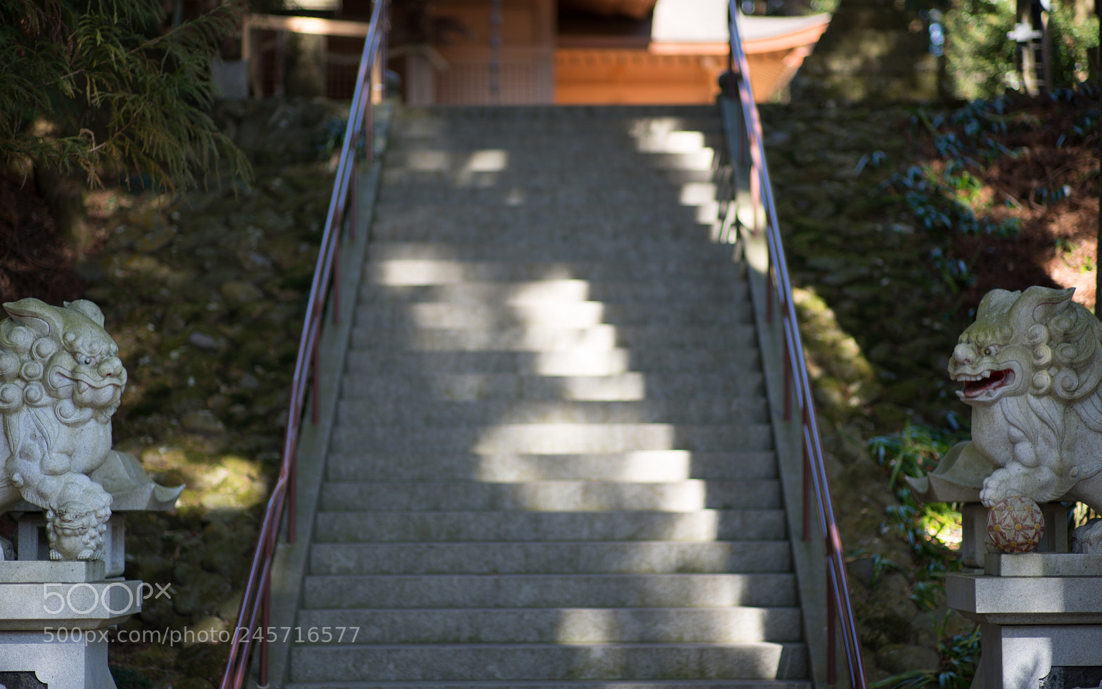 Nikon D800 sample photo. Rocketbn photography