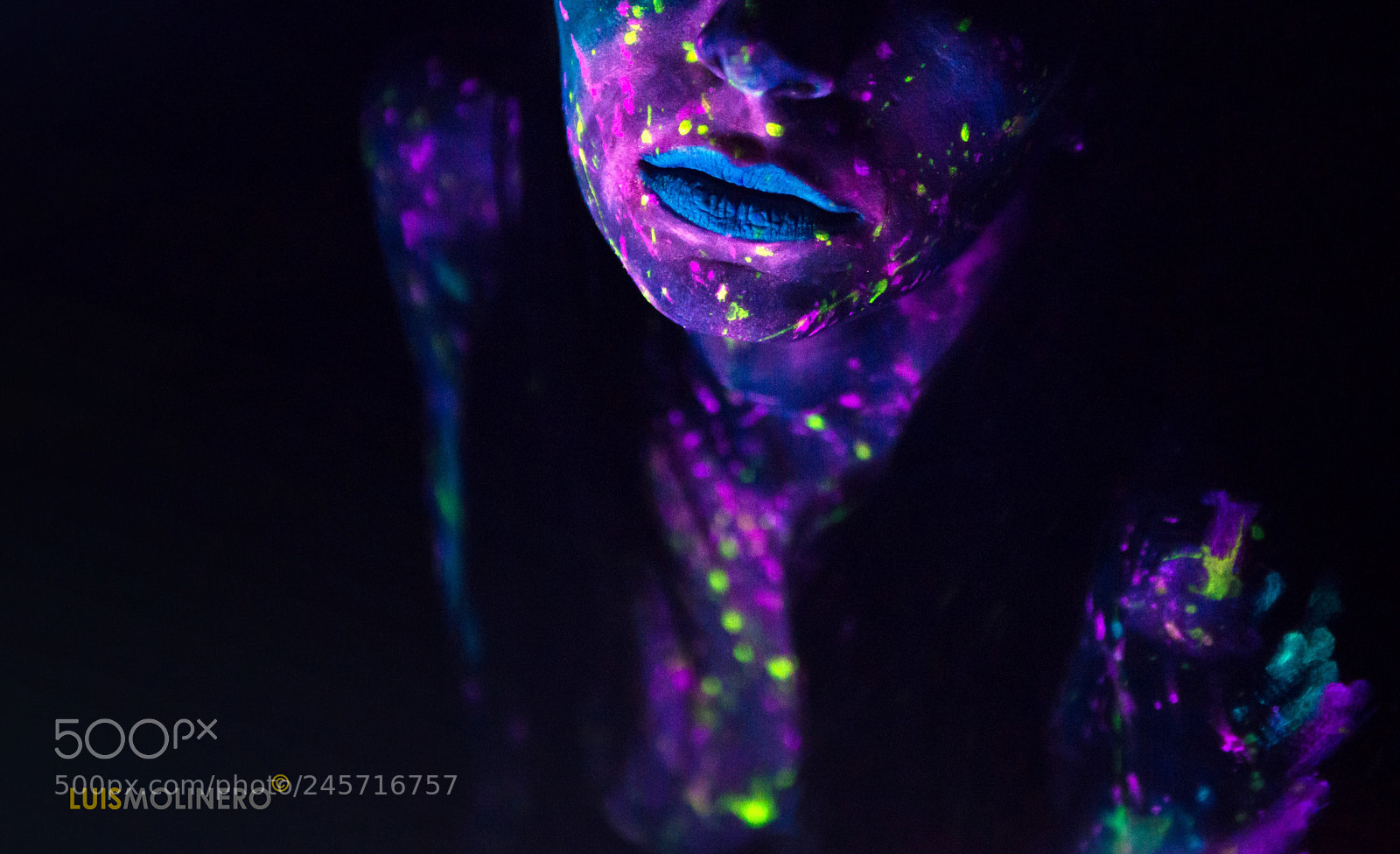 Nikon D800 sample photo. Copia photography